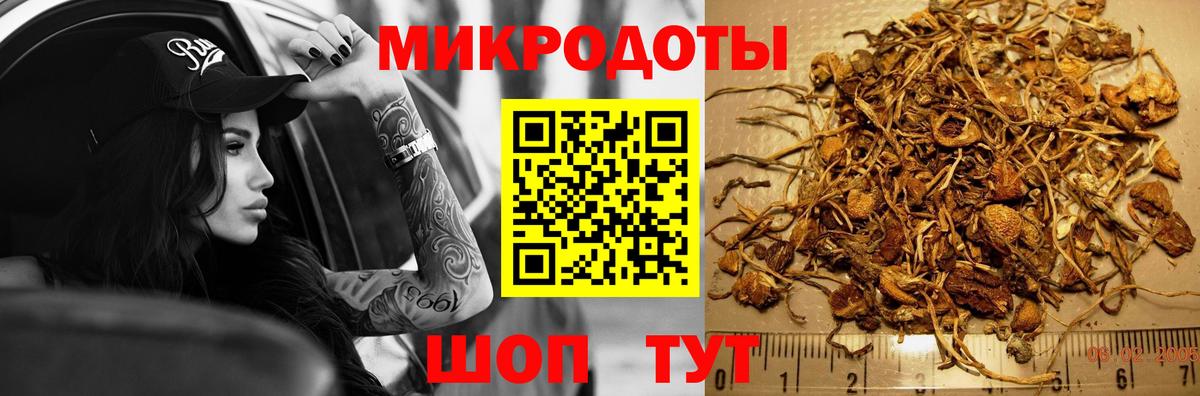 Псилоцибиновые грибы GOLDEN TEACHER Похвистнево